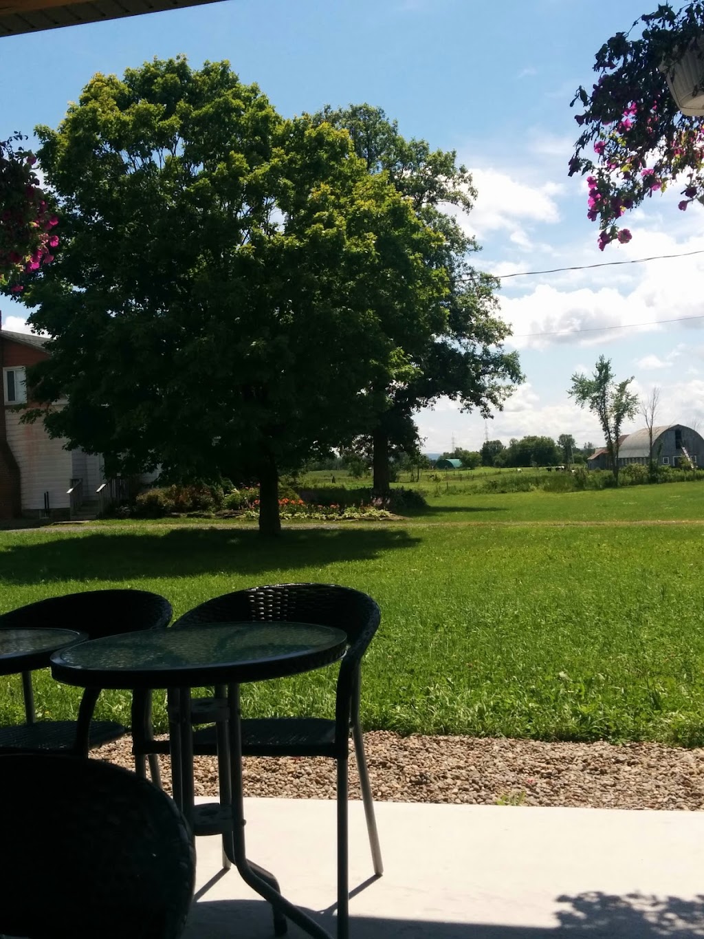Aux Cassis dArgenteuil | 210 Rte des Seigneurs, Saint-André-dArgenteuil, QC J0V 1X0, Canada | Phone: (450) 562-0897