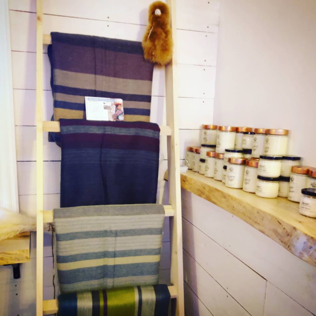 Back to our Roots | 716 Hwy 1, Deep Brook, NS B0S 1J0, Canada | Phone: (902) 245-1210