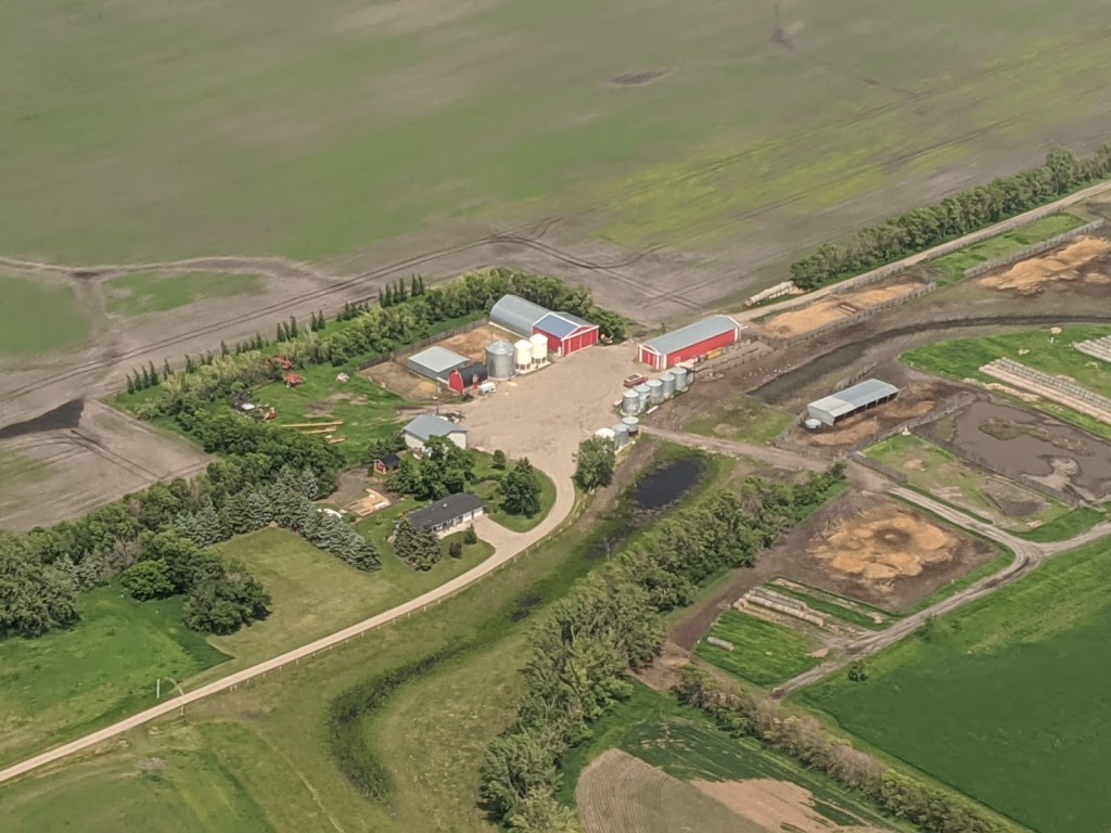 Creekside Land & Livestock Ltd | SE 27-3-4W, Winkler, MB R6W 4A4, Canada | Phone: (204) 362-8391