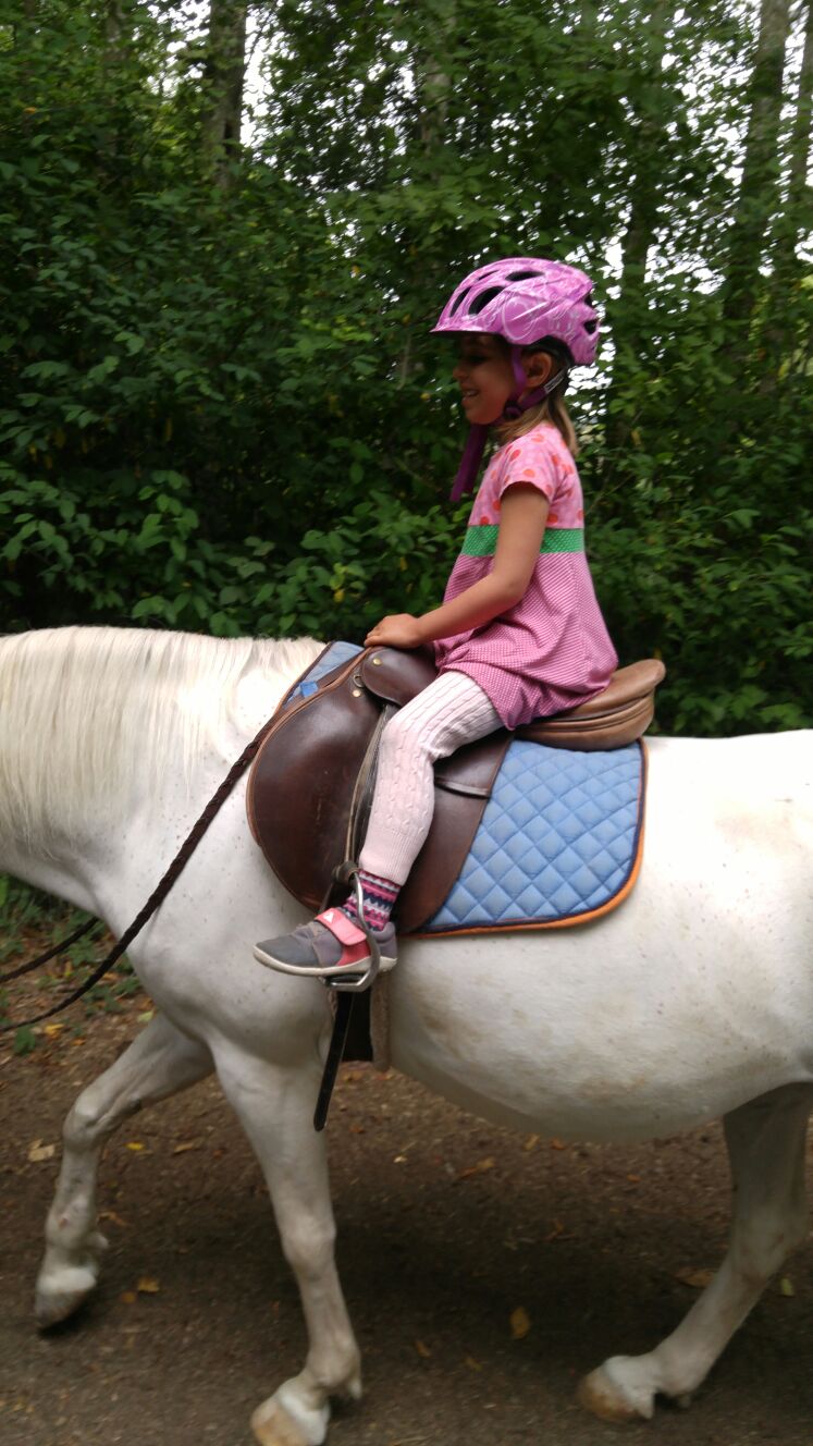 Valle Vista Stables | 6281 Lochside Dr, Saanichton, BC V8M 1Y5, Canada | Phone: (250) 888-1131