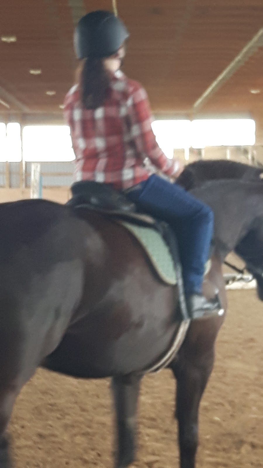 The Motts Equestrian Centre | 756 Watson Rd S, Puslinch, ON N0B, Canada | Phone: (905) 703-8225