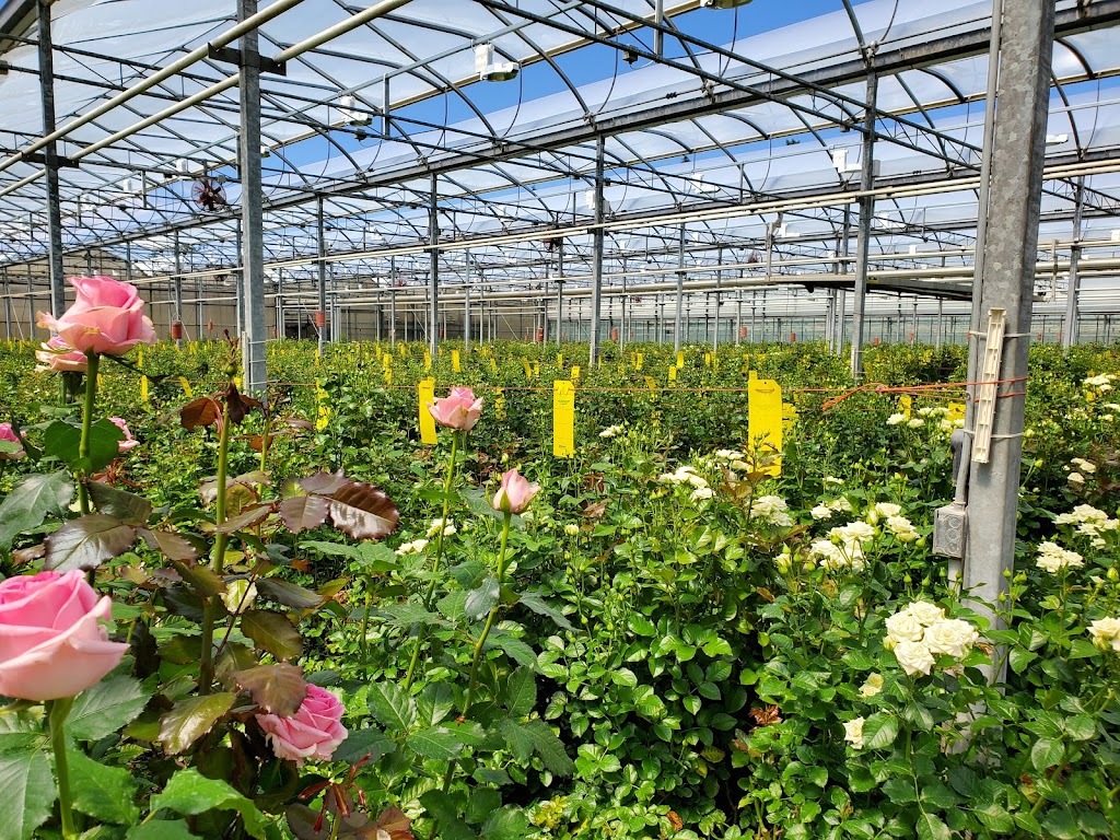 Eurosa Farms | 1304 Greig Ave, Brentwood Bay, BC V8M 1J6, Canada | Phone: (250) 652-5812
