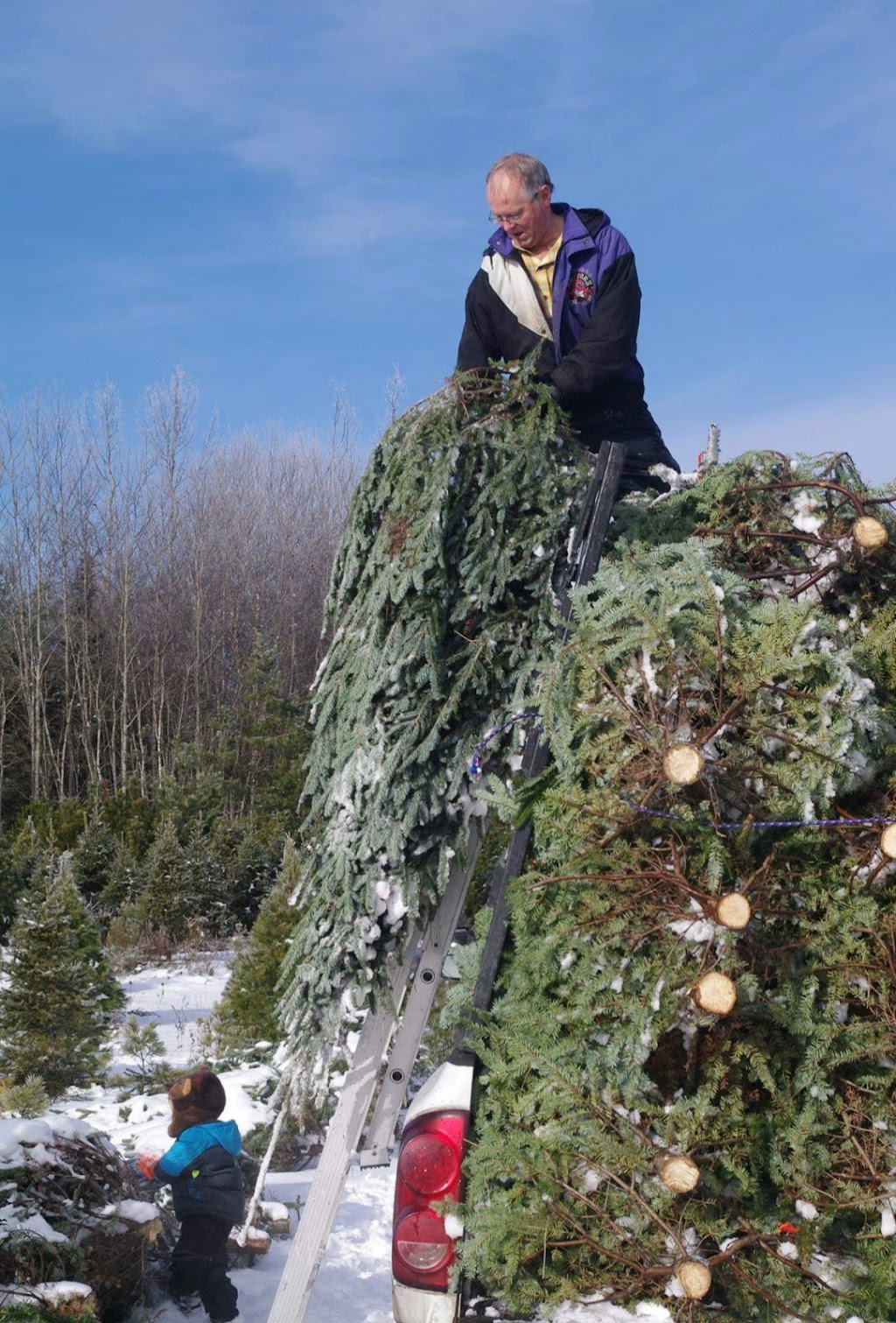 Copeman Tree Farms | 66 Bloomfield Rd, Sundridge, ON P0A 1Z0, Canada | Phone: (705) 492-4950