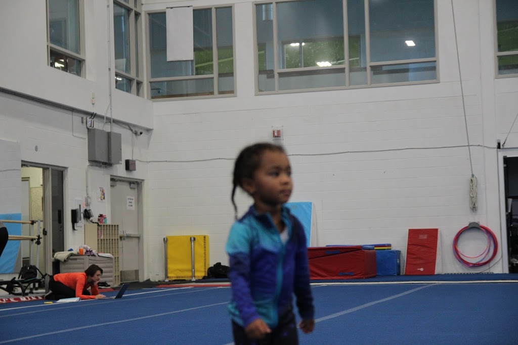 Gymnastics Mississauga | 5600 Rose Cherry Pl, Mississauga, ON L4Z 4B6, Canada | Phone: (905) 270-6161