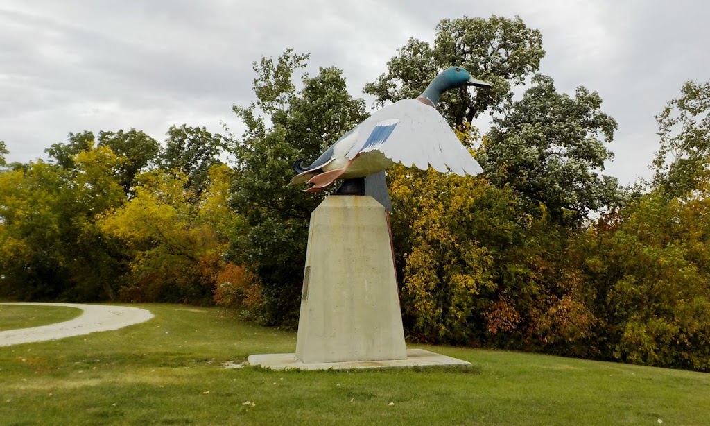 Petersfield Mallard Duck Statue | 8949 Provincial Trunk Hwy 9, Petersfield, MB R0C 2L0, Canada