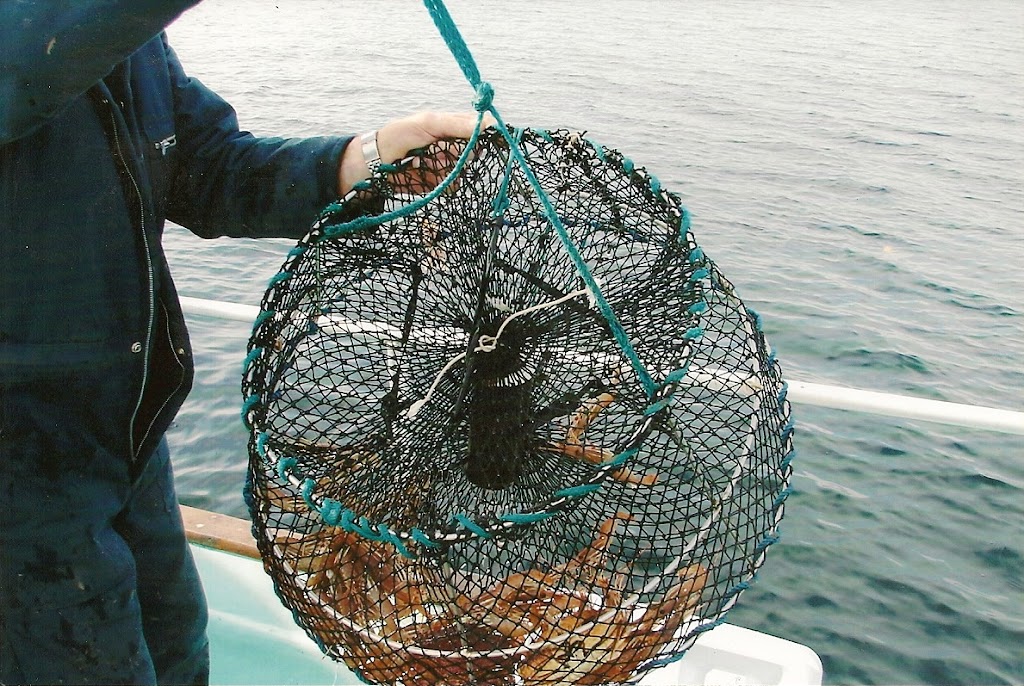 Club SeaKing Adventures / Fishing & Wildlife Tours | 10441 Resthaven Dr, Sidney, BC V8L 3H6, Canada | Phone: (250) 920-6531