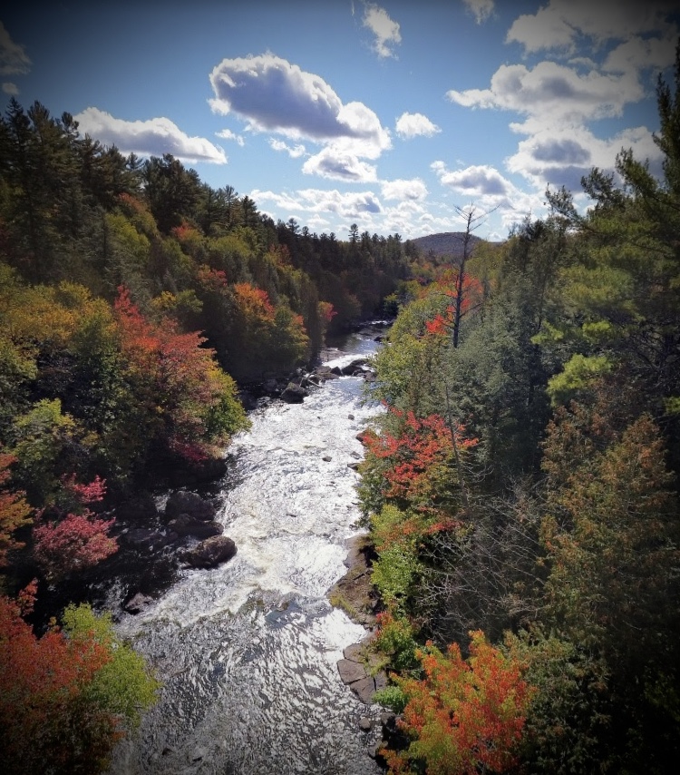 VIETALITER | Rue Valiquette, Sainte-Adèle, QC J8B 2N9, Canada | Phone: (514) 515-6196