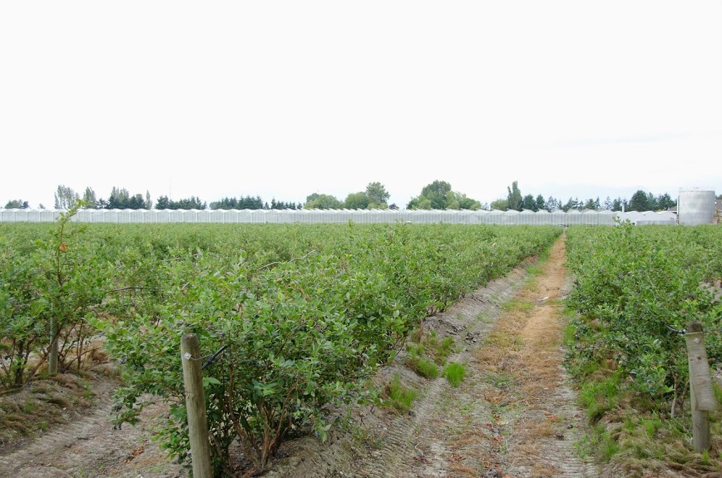 CanWest Farms Ltd. | 13051 Blundell Rd, Richmond, BC V6W 1B6, Canada | Phone: (604) 244-0488