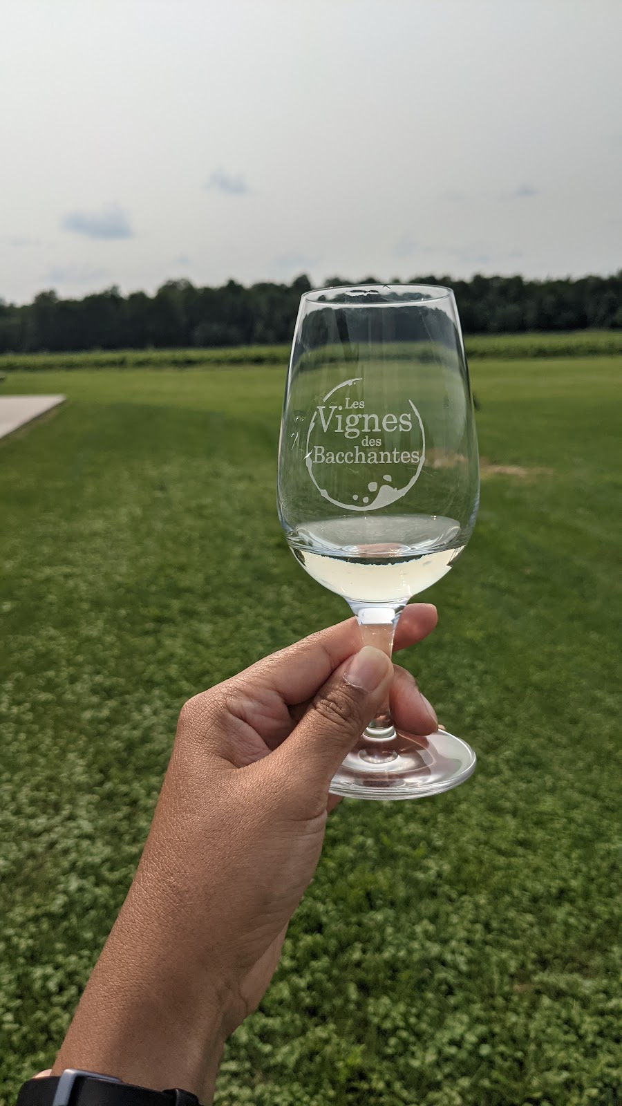 Vignoble Les Bacchantes | 653 Chem. Brownlee, Hemmingford, QC J0L 1H0, Canada | Phone: (514) 452-1405