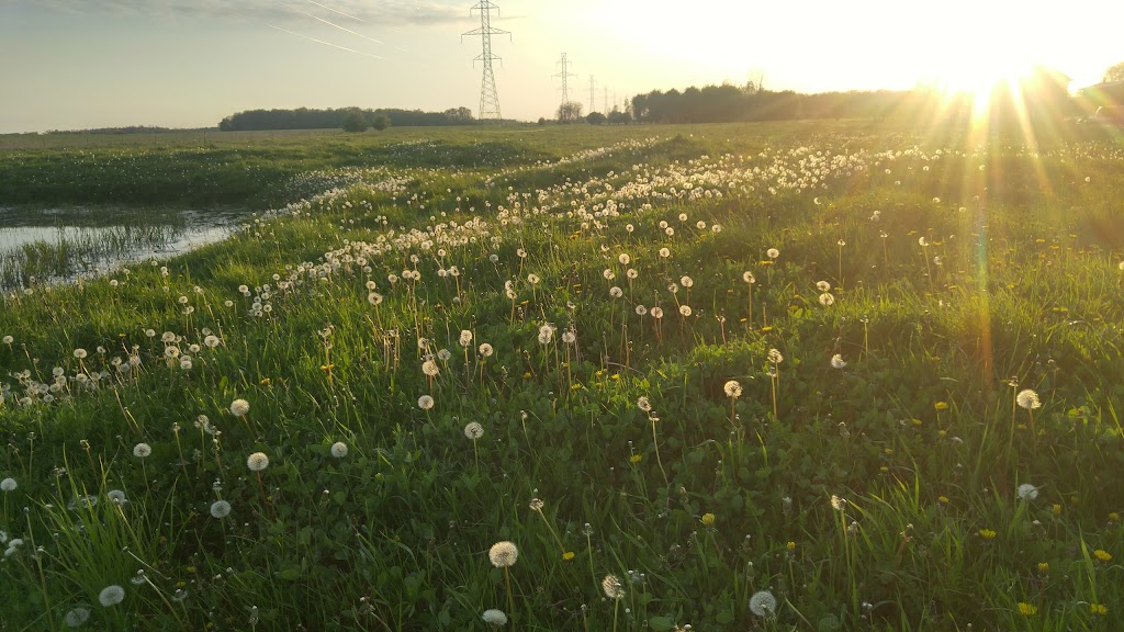 Providence Acres farm | 4494 Scotchmere Dr, Glencoe, ON N0L 1M0, Canada | Phone: (519) 520-3463