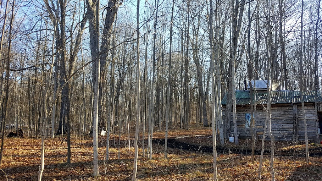 Ten Chances Farm | 1579 Hollowview Rd, Stirling, ON K0K 3E0, Canada | Phone: (613) 243-9727