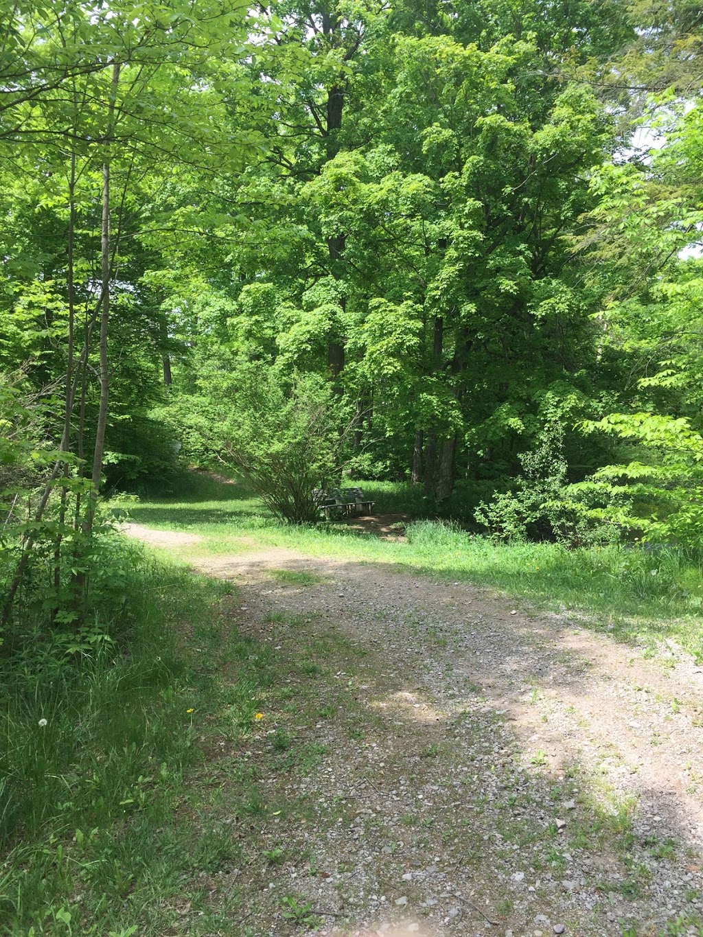 Courtcliffe Park | 159 Carlisle Rd, Carlisle, ON L0R 1H0, Canada