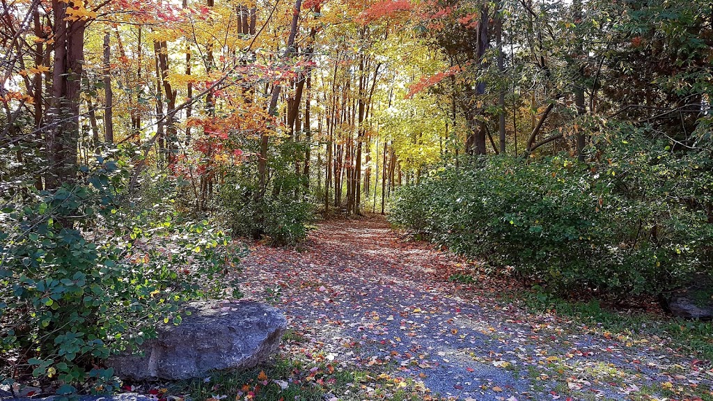 Deevy Pines Park | 65 Stonehaven Dr, Ottawa, ON K2K 1A1, Canada | Phone: (613) 580-2400