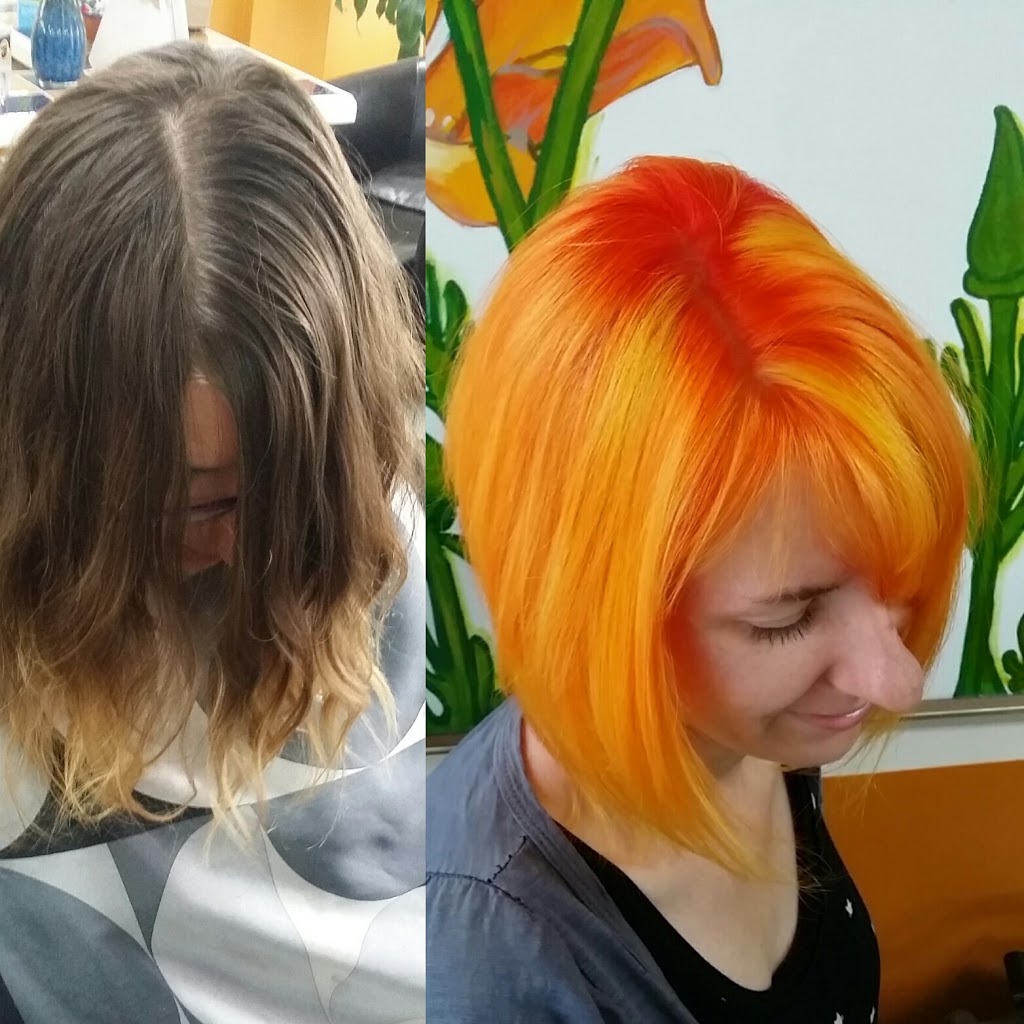 Silver Scissors | 447 Ferry Rd, Winnipeg, MB R3J 1W3, Canada | Phone: (204) 888-9283