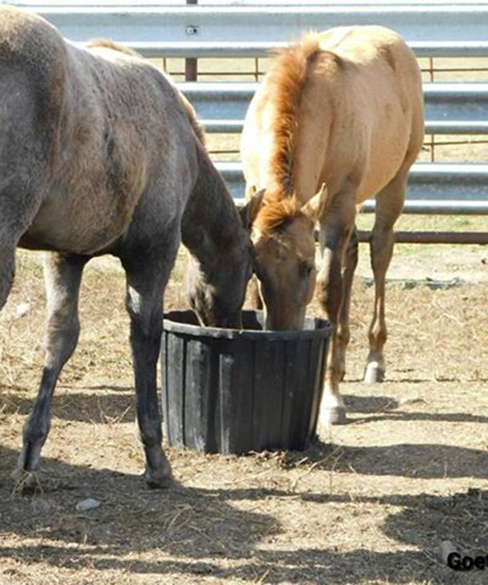 OLS Tubs | se6-41-23-w2, Middle Lake, SK S0K 2X0, Canada | Phone: (306) 231-7567