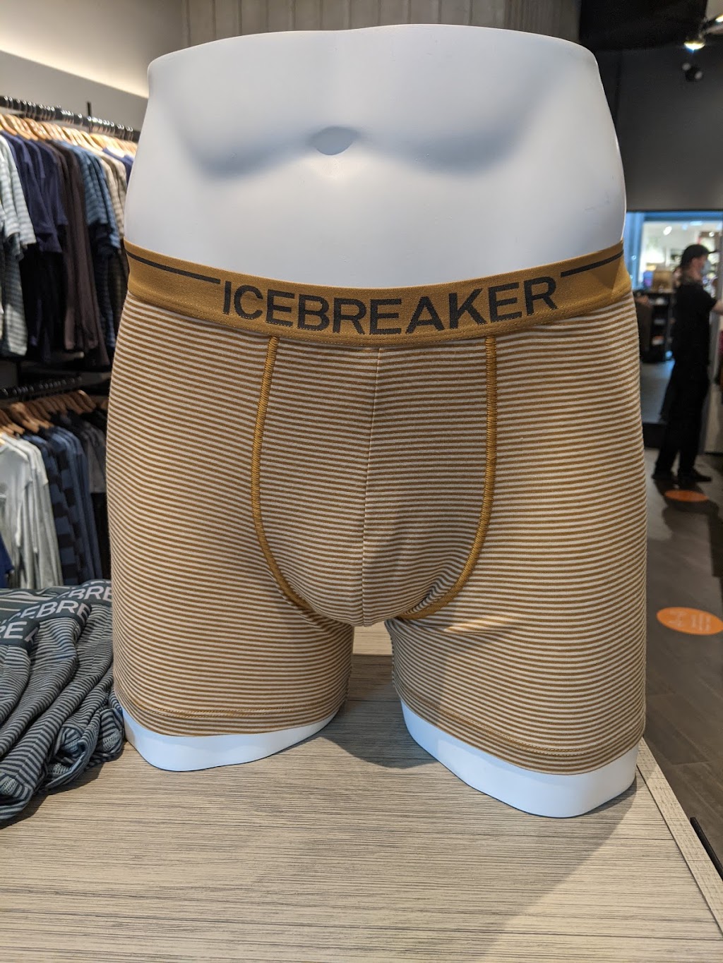 icebreaker | 3035 Boulevard le Carrefour Space T032D, Laval, QC H7T 1C8, Canada | Phone: (450) 505-6004