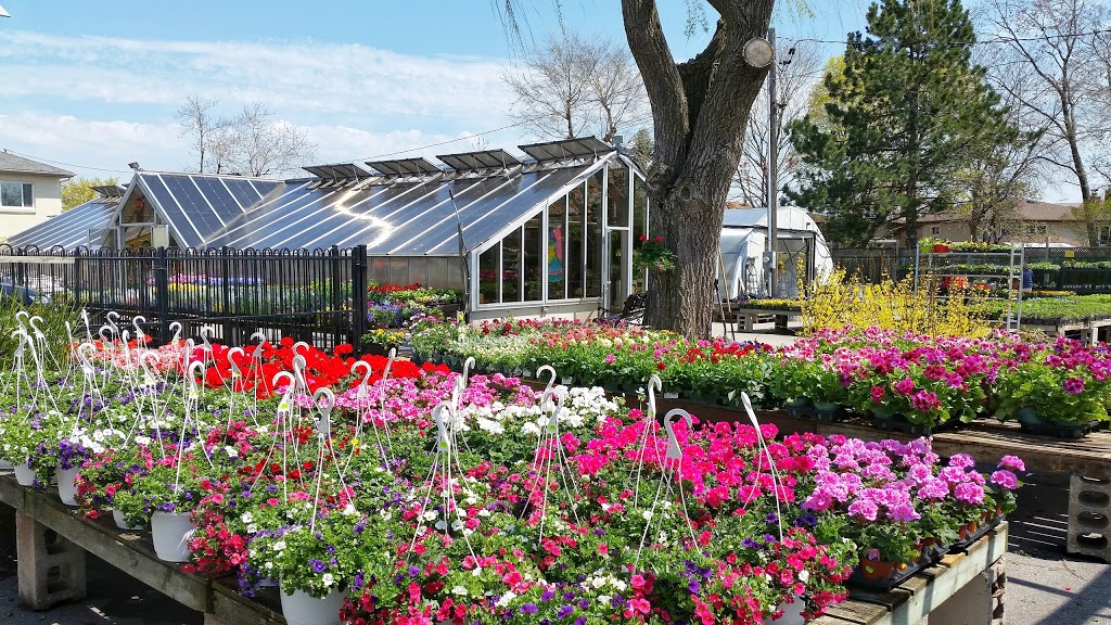 Mississauga Greenhouses Ltd. | 3225 Winston Churchill Blvd, Mississauga, ON L5L 2W1, Canada | Phone: (905) 820-9789