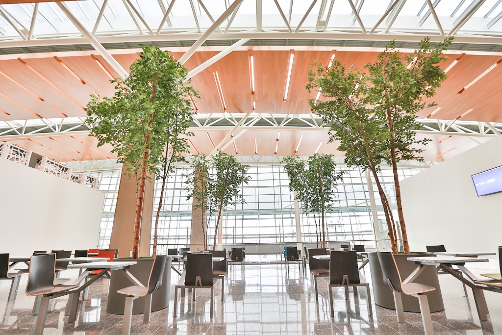 Greenscape Design & Decor | 3811 Myrtle St, Burnaby, BC V5C 4G1, Canada | Phone: (604) 437-1729