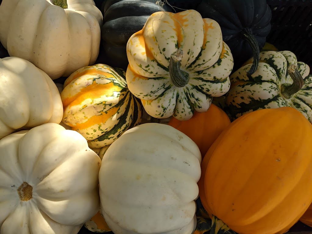 East St. Paul Farmers Market | 302 Hoddinott Rd, East Saint Paul, MB R2E 0H7, Canada | Phone: (204) 668-8336