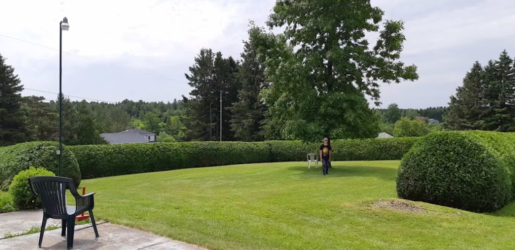 Arboriculture leforestier | 1041 Rang St Pierre, Hérouxville, QC G0X 1J0, Canada | Phone: (819) 383-4066