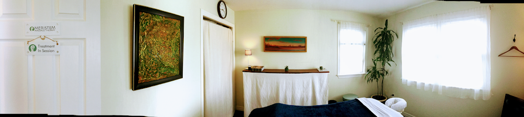 Meristem Massage Therapy | 3722 Carp Rd, Carp, ON K0A 1L0, Canada | Phone: (613) 200-7677