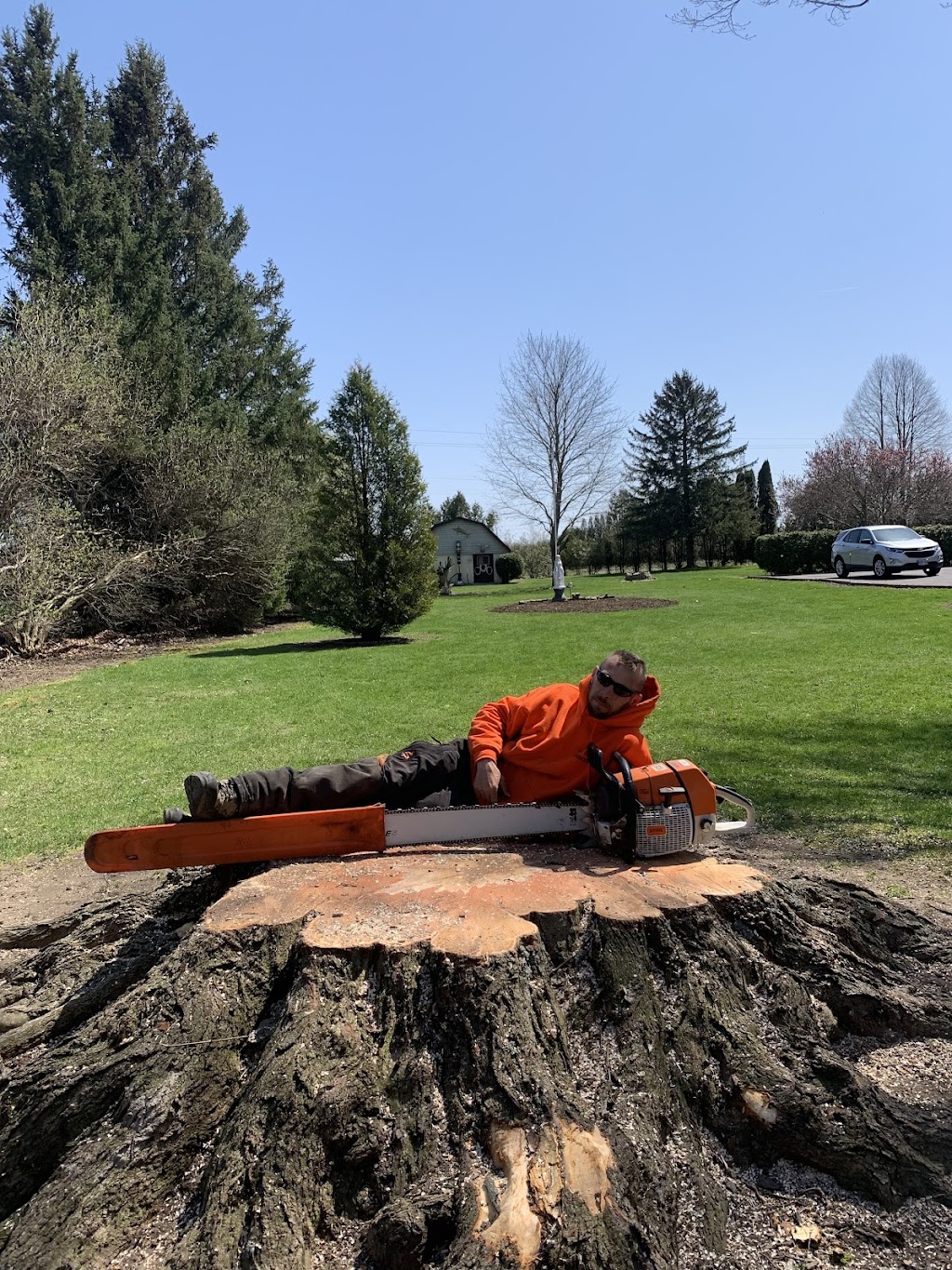 Bob the Urban Arborist | 3498 Cockshutt Rd, Scotland, ON N0E 1R0, Canada | Phone: (519) 498-8746