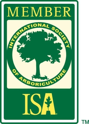 Apex Tree Surgeons | Trans-Canada Highway, Elana Drive, Warminster, ON L0K 2G0, Canada | Phone: (705) 955-7424