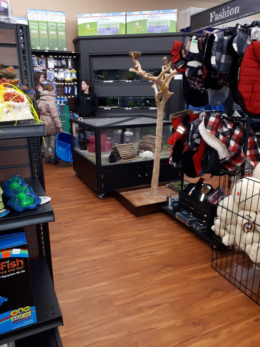 Paulmacs Pets | 410 Fairview Dr, Brantford, ON N3R 7V7, Canada | Phone: (519) 756-7710