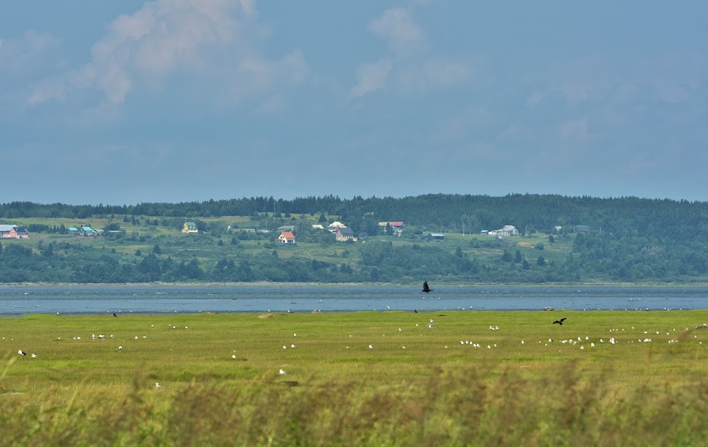 Parc côtier Kiskotuk, secteur des passereaux | 200 Chem. de la Rivière des Vases, Cacouna, QC G0L 1G0, Canada | Phone: (418) 863-3683