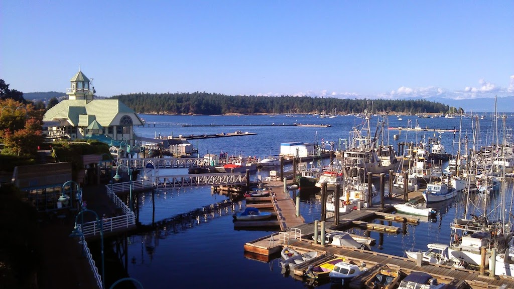 Dawn Walton & Associates | eXp Realty | 3179 Barons Rd #2, Nanaimo, BC V9T 5W5, Canada | Phone: (250) 585-8910