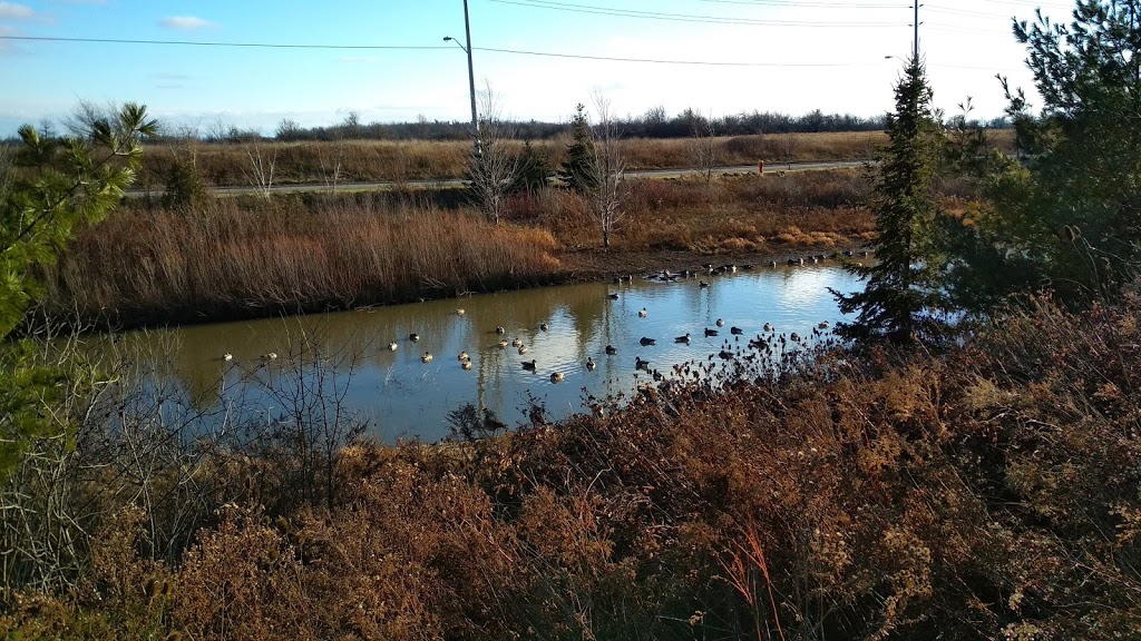 Bristol District Park | 1098 Thompson Rd S, Milton, ON L9T 2X5, Canada | Phone: (519) 878-7252