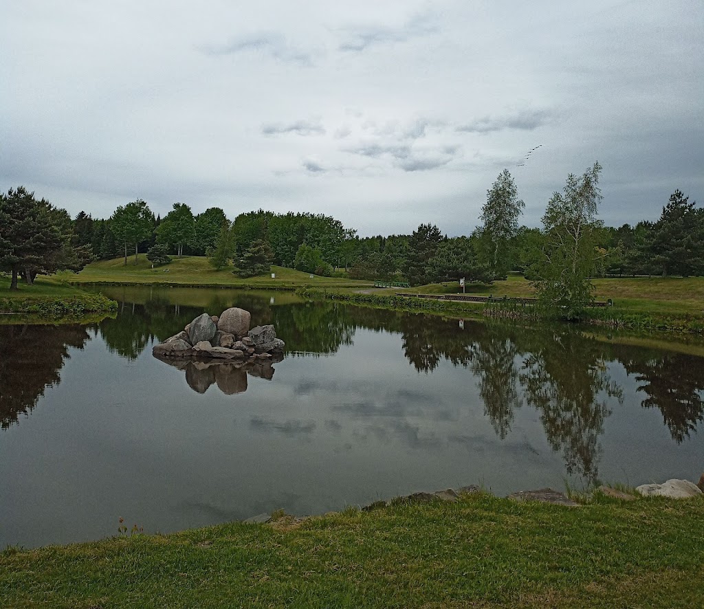 Club De Golf Des Bois-Francs Inc | 25 Rue du Lac N, Princeville, QC G6L 3X8, Canada | Phone: (819) 364-7117