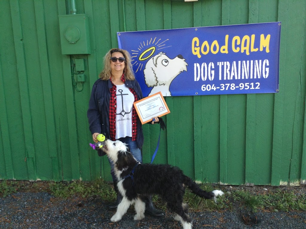 Confident K9 Academy | 4121 Columbia Valley Rd, Cultus Lake, BC V2R 5B7, Canada | Phone: (604) 378-9512