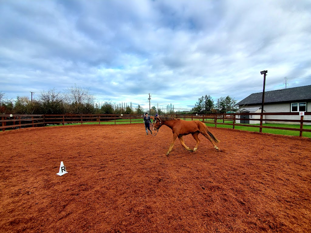Eastgate Dressage Inc | 6404 Central Saanich Rd, Saanichton, BC V8M 1Z4, Canada | Phone: (250) 589-0415