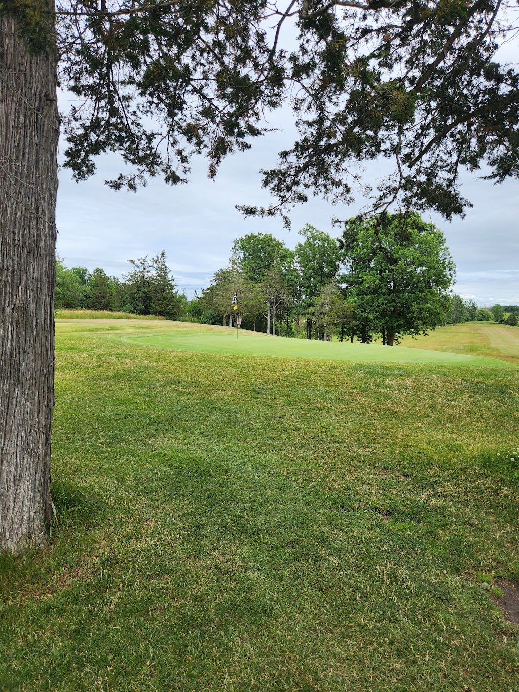 Briar Fox Golf Club | 7415 Old Highway 2, Marysville, ON K0K 2N0, Canada | Phone: (613) 396-2433