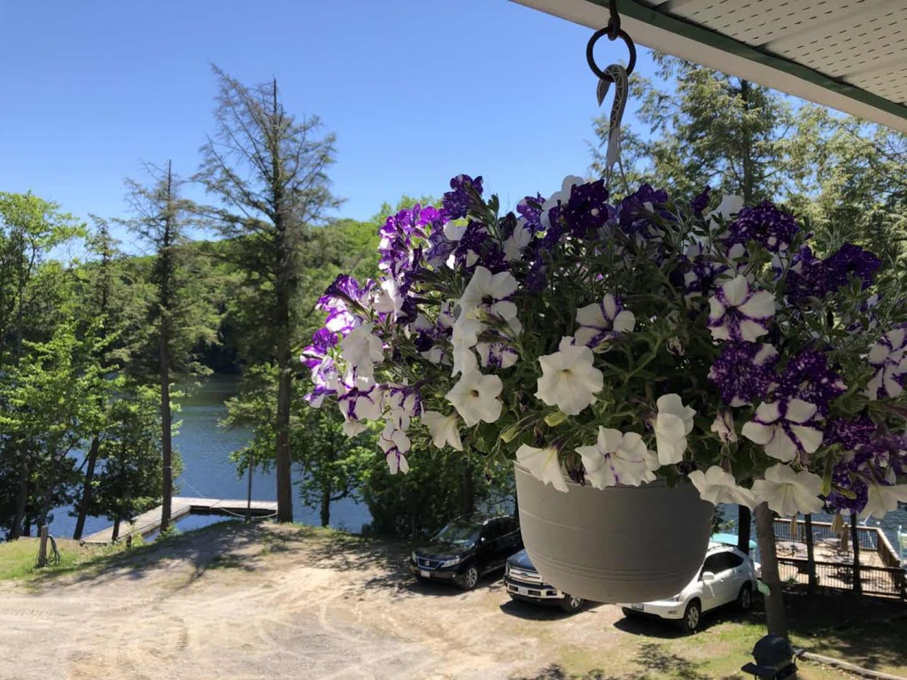Sunny Point Style | 41 Sunny Point Rd, Parry Sound, ON P2A 2W8, Canada | Phone: (705) 938-1970