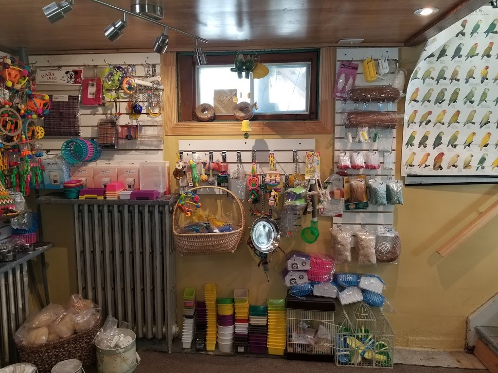 Sudbury BIRD House | 166 St Joseph St, Sudbury, ON P3B 2R1, Canada | Phone: (705) 677-8932