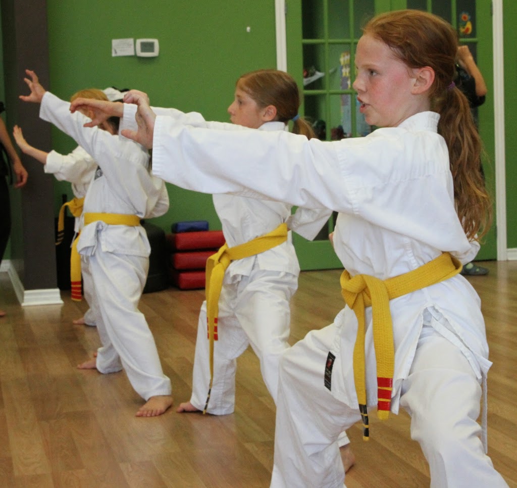 Douvris Martial Arts, Karate, Kickboxing - Riverside South | 6-665 Earl Armstrong Rd, Gloucester, ON K1V 2G2, Canada | Phone: (613) 234-5000