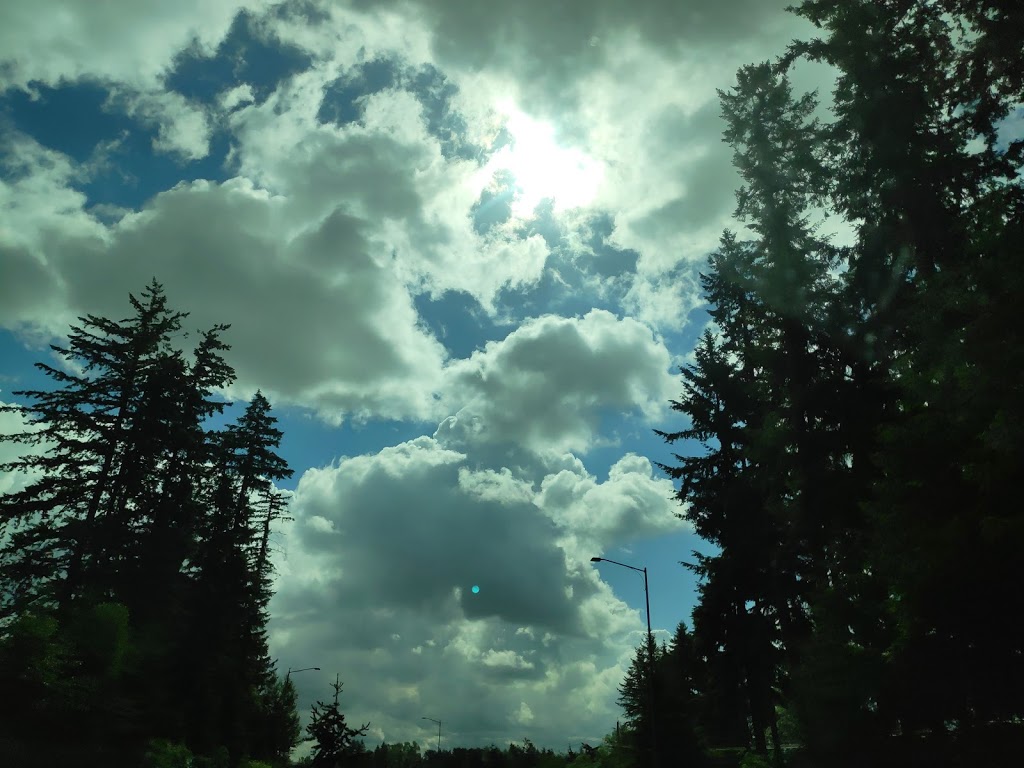 Cloud Nine Canines: Dog Daycare, Dog Grooming | 17728 96 Ave, Surrey, BC V4N 4A7, Canada | Phone: (236) 986-3808