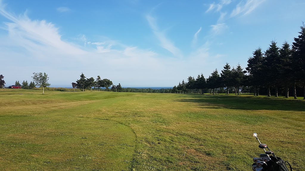 Rollo Bay Greens | 1201 Aka, Veterans Memorial Hwy, York, PE C0A 1P0, Canada | Phone: (902) 687-1586