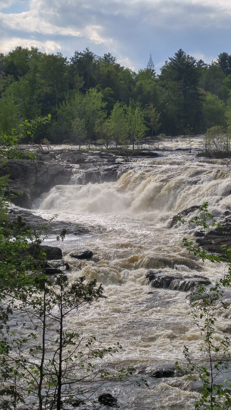 Parc Armand « Daddy » Lacelle | 833 Chemin de Masson, Gatineau, QC J8M 1A3, Canada