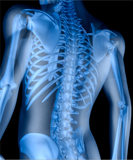 Dr. Sheldon Cook | 3-1111 Princess St, Kingston, ON K7L 2T1, Canada | Phone: (613) 549-7977
