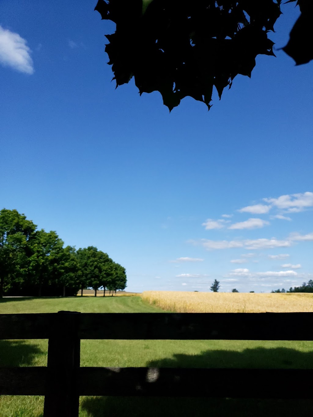 Am Braigh Farm | 873393 Fifth Line EHS, Mono, ON L9W 6A5, Canada | Phone: (519) 217-8549