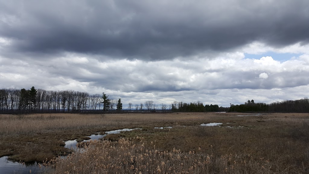 Macnamara Nature Trail | 284 McNab St #206, Arnprior, ON K7S 3T2, Canada