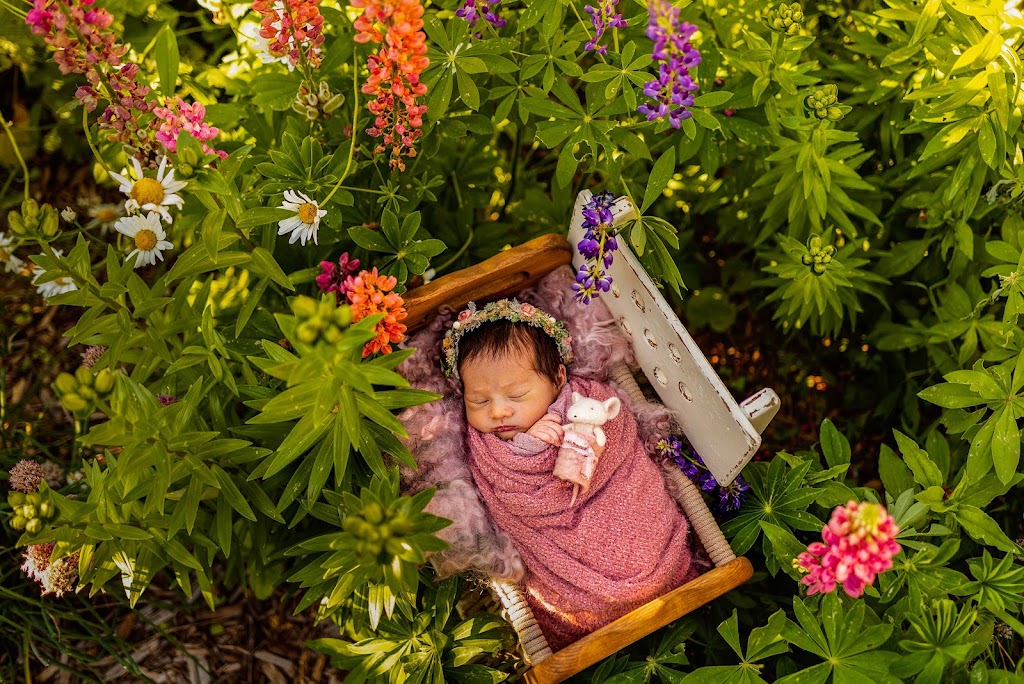 Rustic Rabbit Photography | 2416 20 St, Delburne, AB T0M 0V0, Canada | Phone: (403) 352-2636