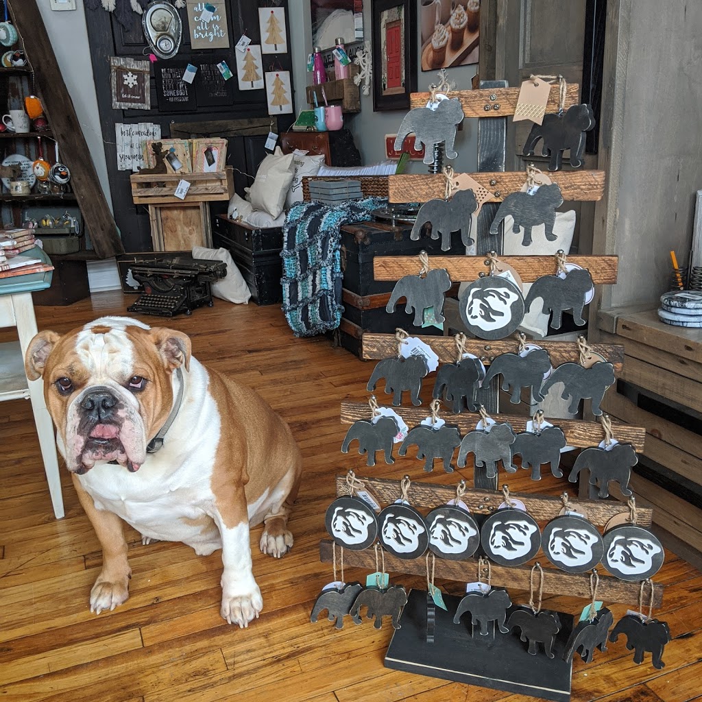 DOG EAT DOG | 161 Mitton St S, Sarnia, ON N7T 3C8, Canada | Phone: (519) 384-0888