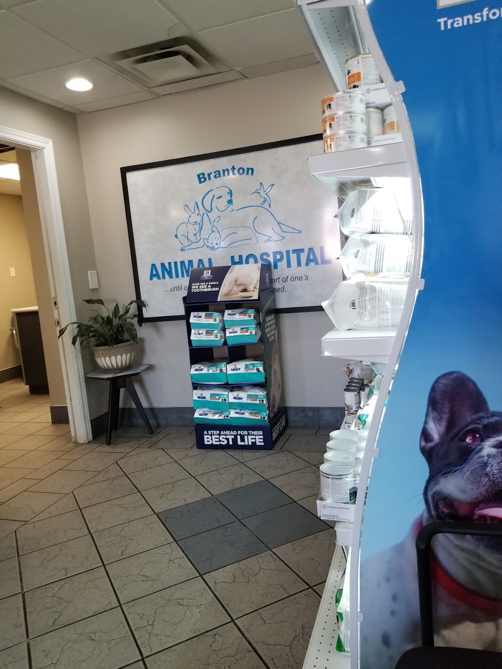 Branton Animal Hospital | 2525 Tecumseh Rd W, Windsor, ON N9B 1W4, Canada | Phone: (519) 253-3556