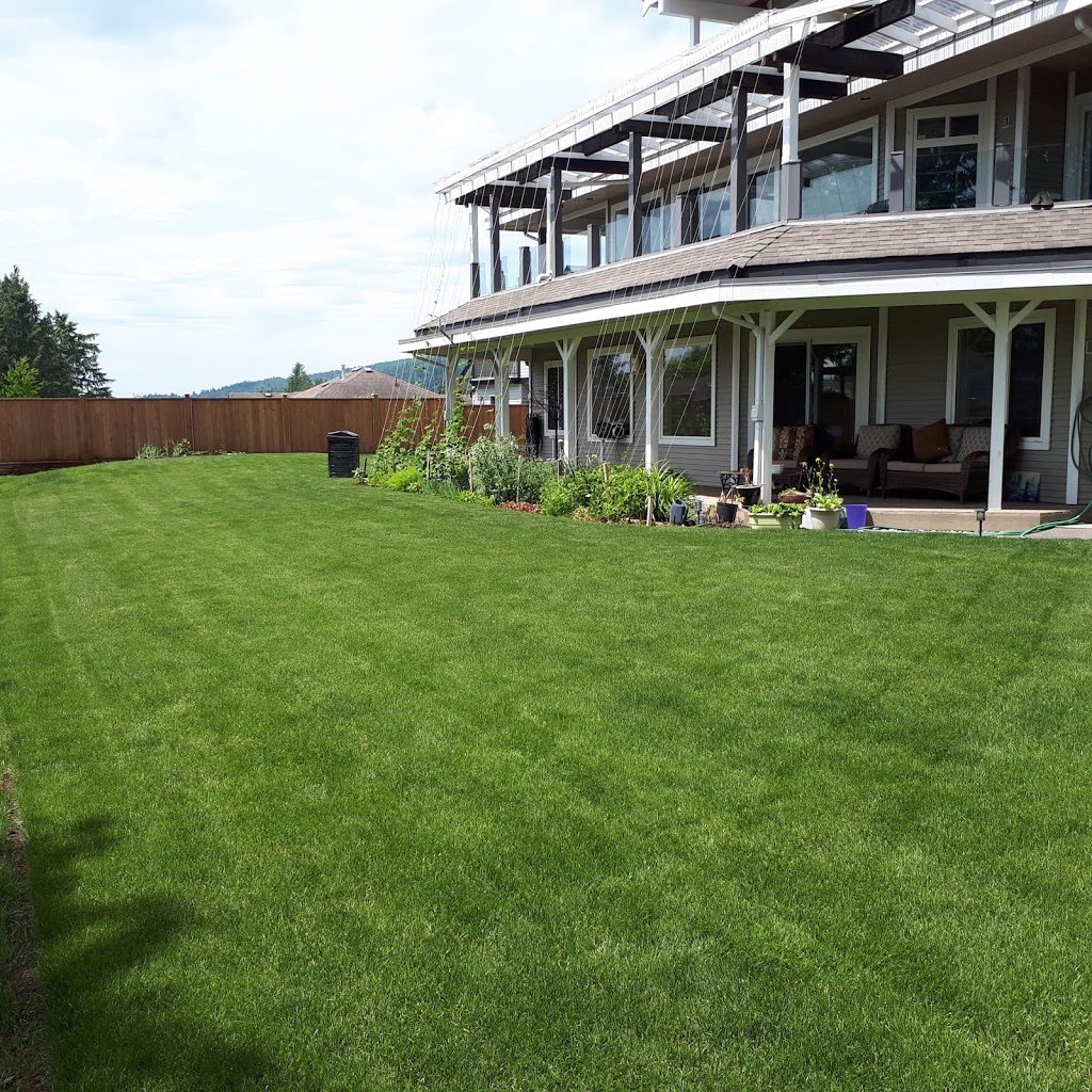 Anderson Sod Farm Ltd. | 36422 Hyde Buker Rd, Dewdney, BC V0M 1H0, Canada | Phone: (604) 826-2383