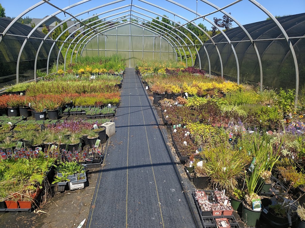 Aarts Nursery Ltd | 7200 216 St, Langley, BC V2Y 2S3, Canada | Phone: (604) 888-3555