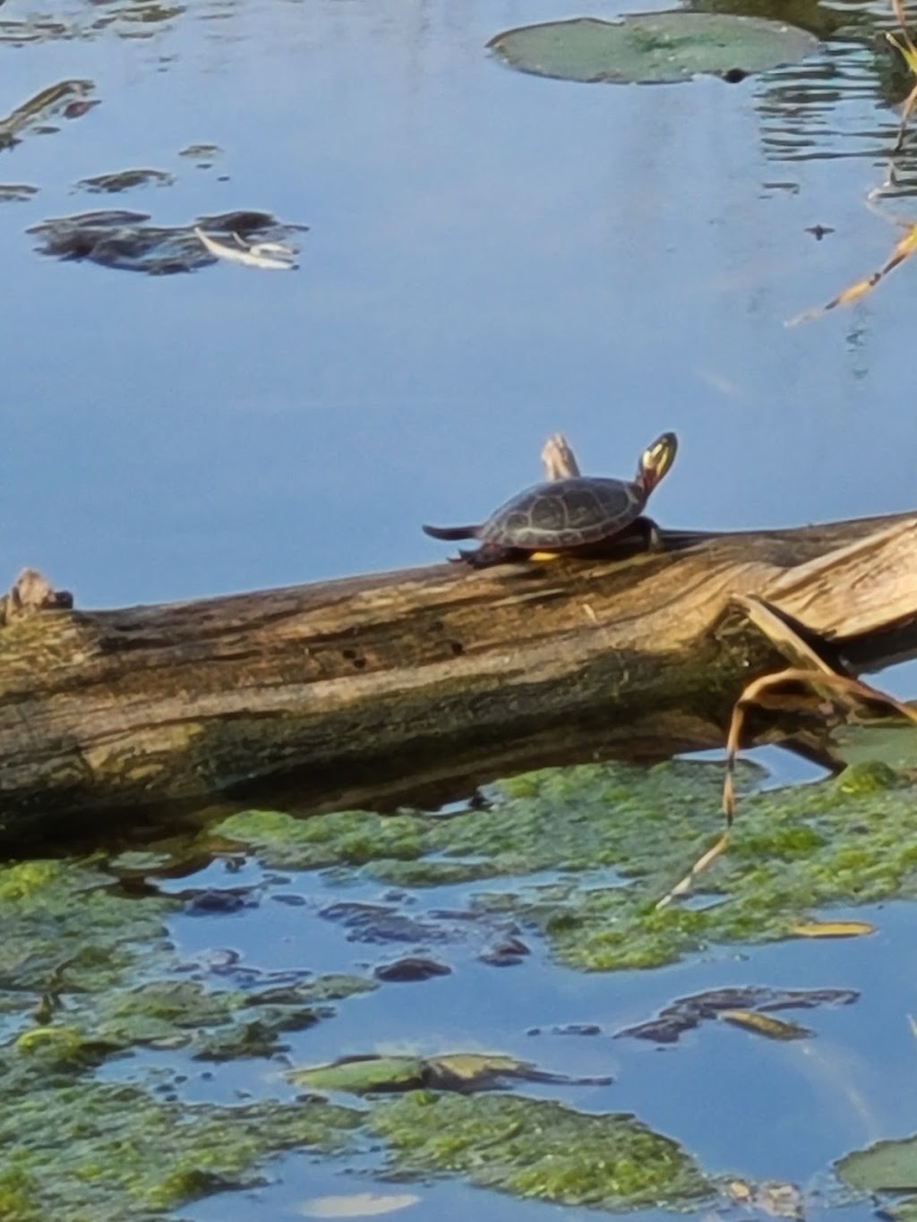 Potters Creek Conservation Area | 2061 Old Highway 2, Belleville, ON K8N 4Z2, Canada | Phone: (613) 968-3434